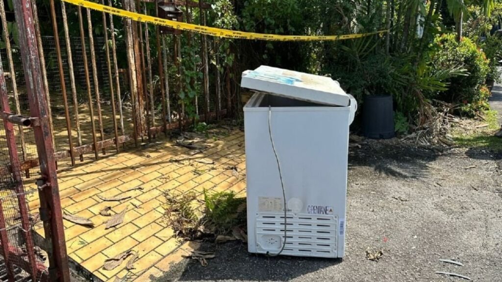 母子惨剧震惊!吉隆坡男子弑母藏尸冰箱三年后缴不起电费报警自首