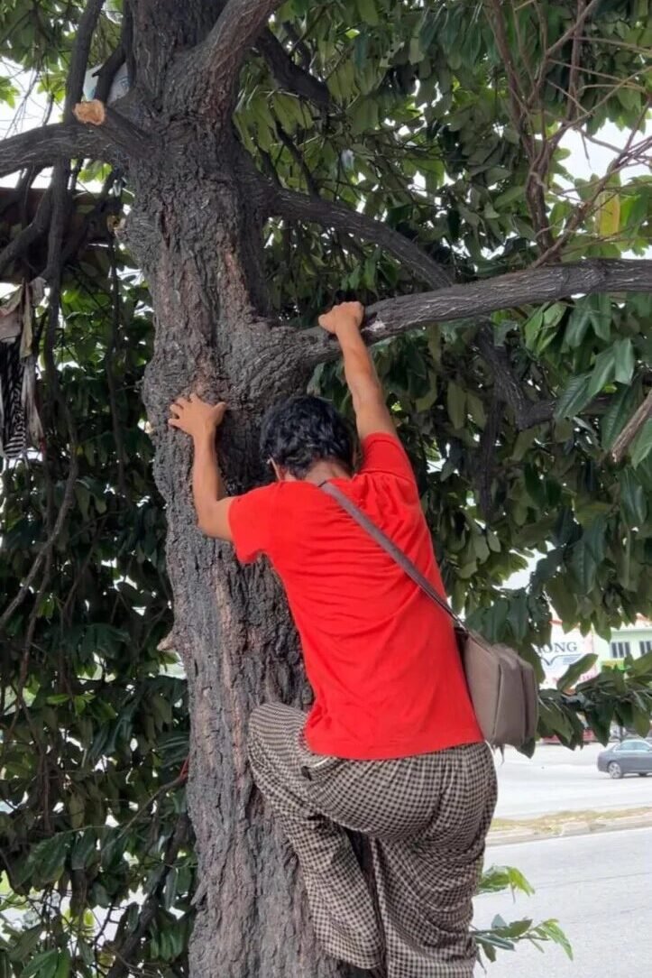 吉隆坡男子因无力缴房租竟居住树上引发关注