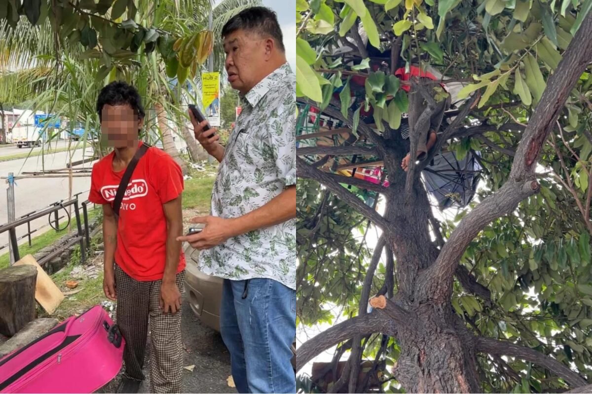 吉隆坡男子因无力缴房租竟居住树上引发关注