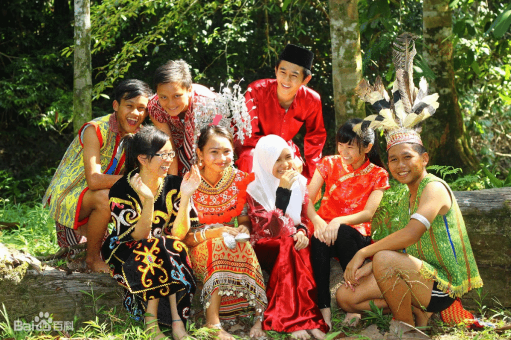 雪州 MAIS 诽谤案