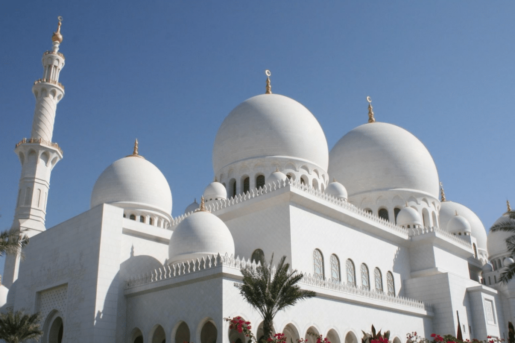 当文化传统与现代数字契约发生碰撞,如何守护家族价值与社会和谐?